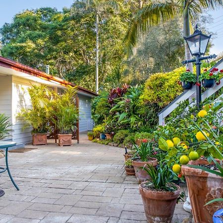 Avocado Sunset Bed & Breakfast Tamborine Mountain Exterior photo
