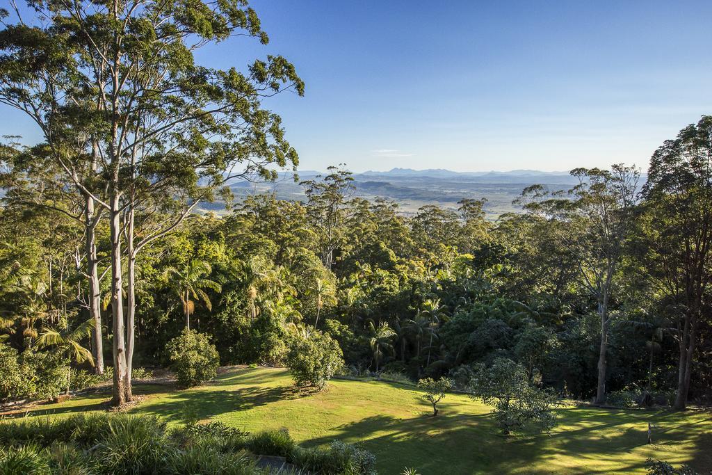 Avocado Sunset Bed & Breakfast Tamborine Mountain Exterior photo